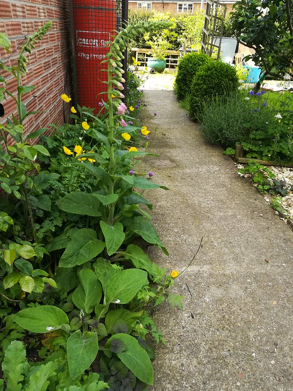 Stacks Image 91