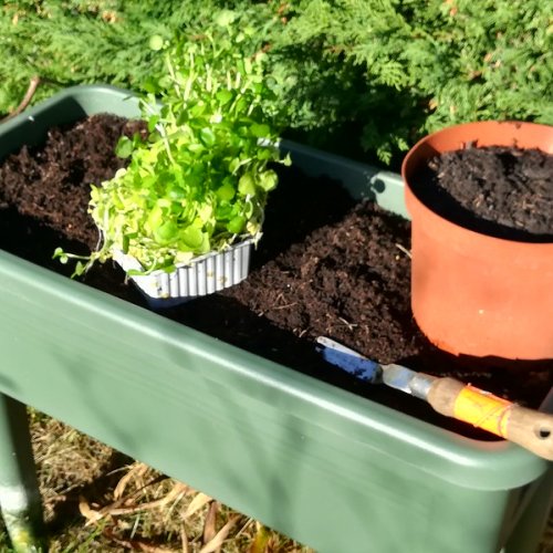 Containers ready for the new crop.