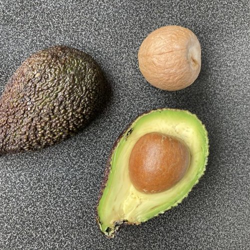 Avocado