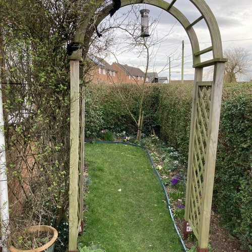 Crocuses, hellebores and snowdrops: bee survival supplies in the late winter.