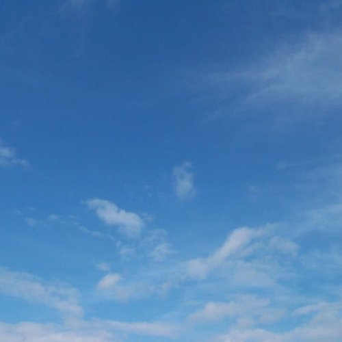 Winter blue: photo courtesy of Conor McGrath