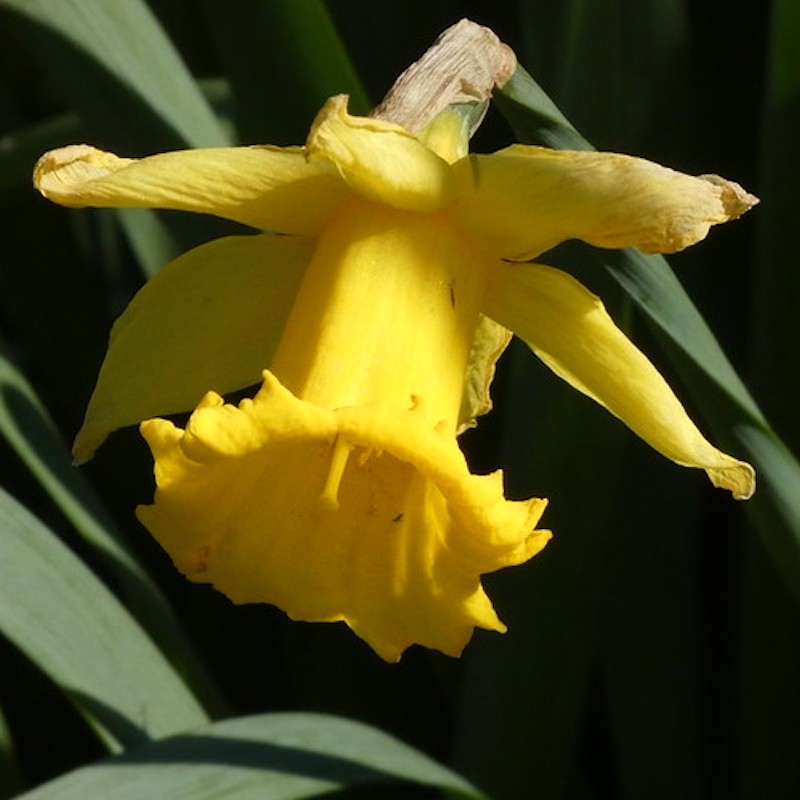 Stacks Image 84