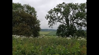 Stacks Image 105